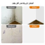 صورة المنتج